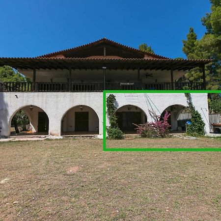Chalkidiki Beachfront Haven - Perfect Location Nikiti  Exterior foto