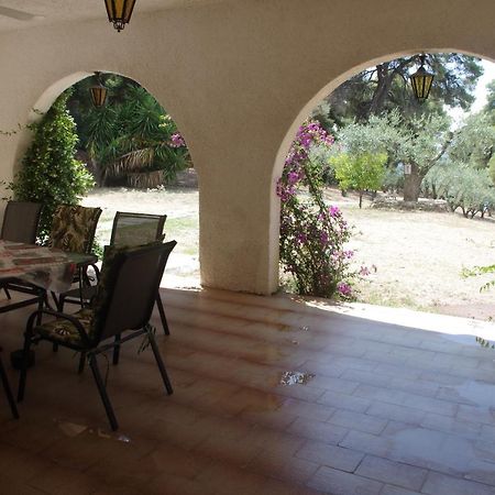 Chalkidiki Beachfront Haven - Perfect Location Nikiti  Exterior foto