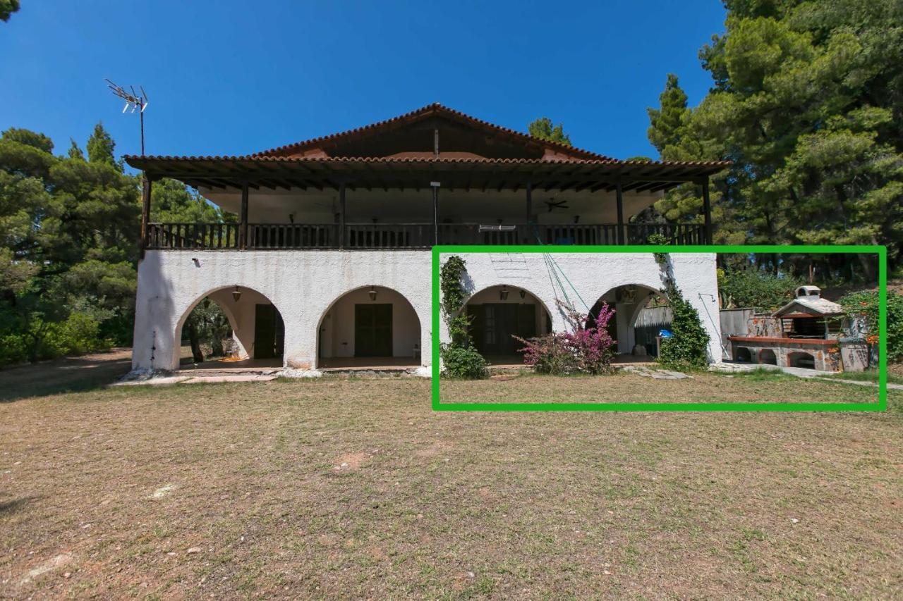 Chalkidiki Beachfront Haven - Perfect Location Nikiti  Exterior foto