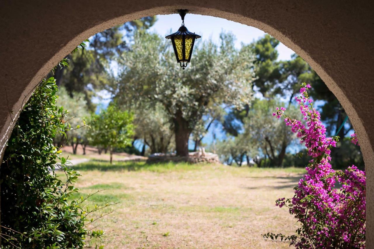 Chalkidiki Beachfront Haven - Perfect Location Nikiti  Exterior foto